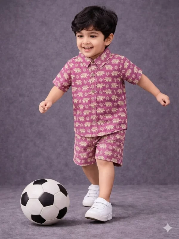 Kids Boys Elephant Print Cotton Co-Ord Set