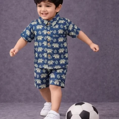 Kids Boys Elephant Print Cotton Co-Ord Set