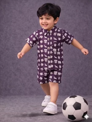 Kids Boys Cotton Elephant Print Co-Ord Set