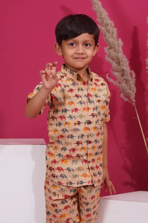 Elephant Print Cotton Co-Ord Outfit for Boys