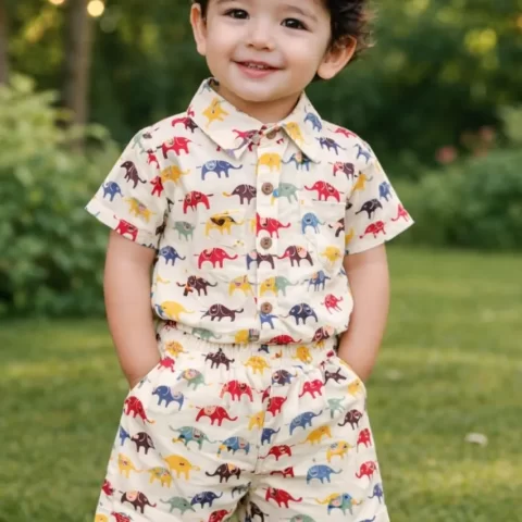 Kids Boys Multicolor Elephant Print Cotton Co-Ord Set