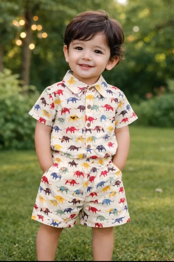 Kids Boys Multicolor Elephant Print Cotton Co-Ord Set