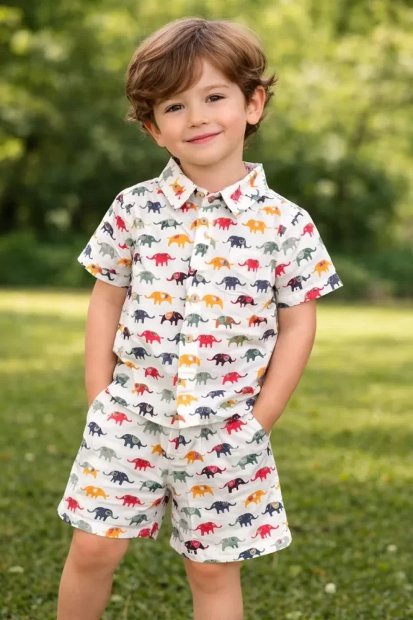 Kids Boys Multicolor Elephant Print Cotton Co-Ord Set